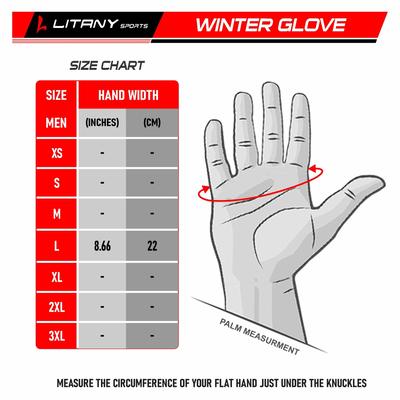 Motorbike Gloves, Thermal L265