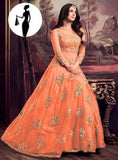 2 Pcs Women's Stitched Organza Embroidered Maxi And Trouser