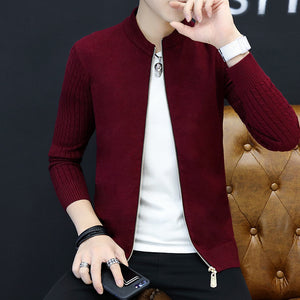 2025 Spring and Autumn new Korean men's knitwear solid color Zipper slim-fit fashion trends cardigan Jacket for Teenagers
